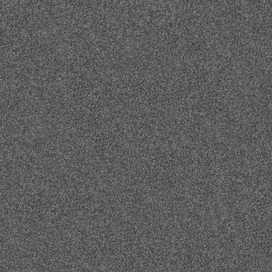 YES YOU CAN I 12' in Refined Carpet