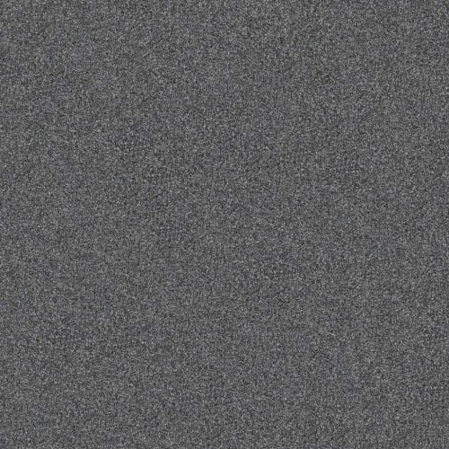 YES YOU CAN I 12' in Refined Carpet