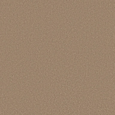 Velvet Touch Ii in Canoe Carpet