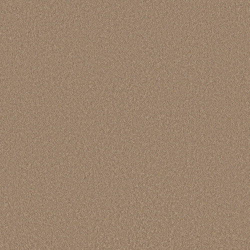 Velvet Touch Ii in Canoe Carpet