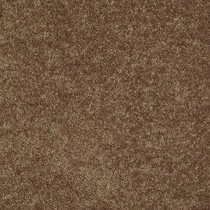 SUMPTUOUS II in Rustic Gray Carpet