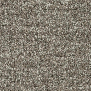 Burbank in Flannel Carpet