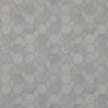 Sand Dollar - Platinum