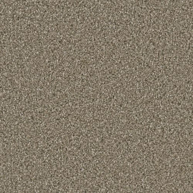 Queens in Acorn Carpet