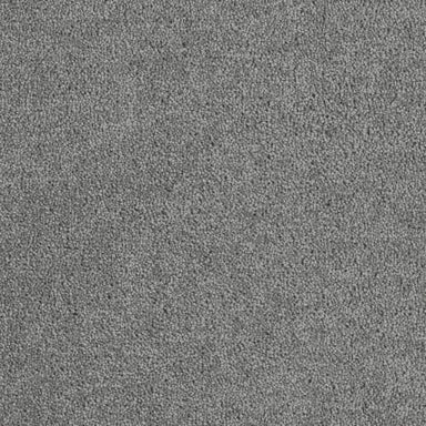 Bel Air in Armor Carpet