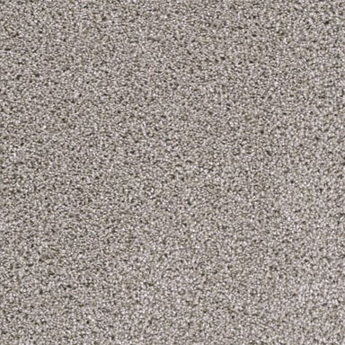 Lustrio II in Acadia Carpet