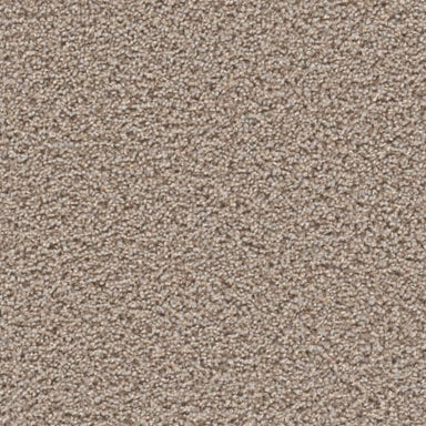 Ascend in Agate Carpet