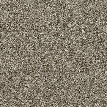 Rich Walnut