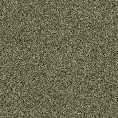 Accolade in Cinnamon Tea Carpet