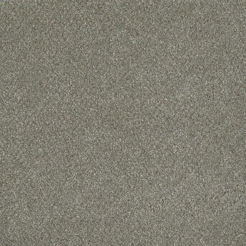 Newport II in Ancient Marble Carpet
