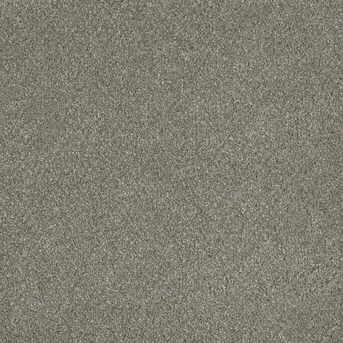 Newport III in Ancient Marble Carpet