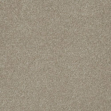 Profound III in Cameo Carpet