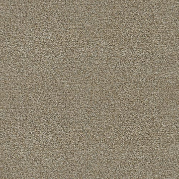 Toasted Oat