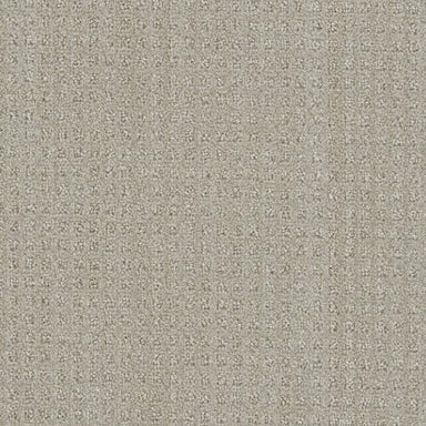 Emerson in Chevoit Carpet