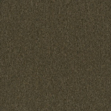 3169