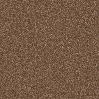 Dividing Line 15' in Pine Cone Carpet