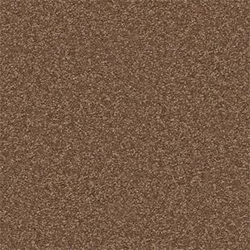 Dividing Line 15' in Pine Cone Carpet