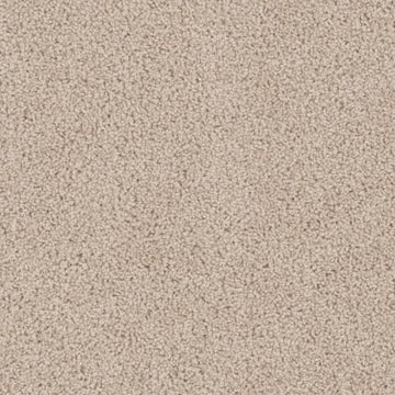 Eggshell