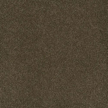 Black Walnut