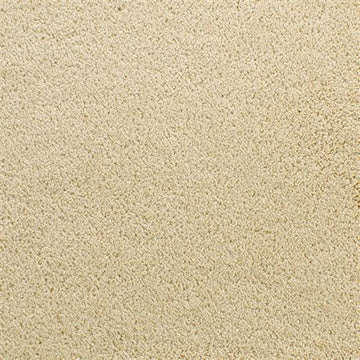 Dry Chamois