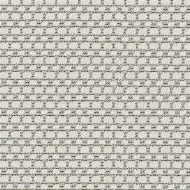 Avalon in Mist Carpet