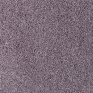 Veiled Plum