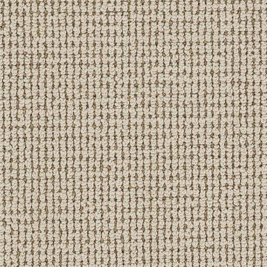 Nature's Glen in Avaga Carpet