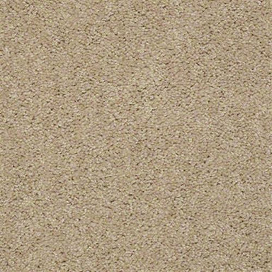 Xv426 in Banana Pop Carpet