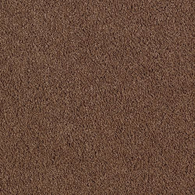 Global Picture in Adirondack Carpet