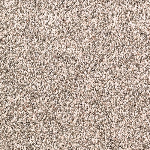 Quiet Refuge in Almond Wash Carpet