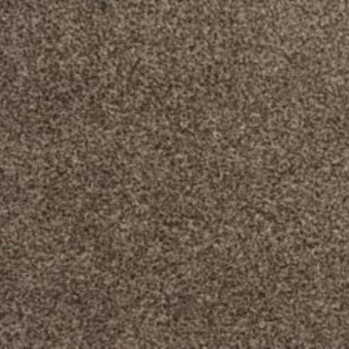 Refreshing Charm in Allure Carpet