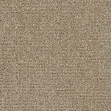 Warm Sand -104