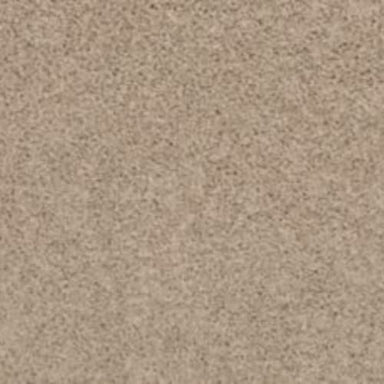 Revive in Birdbath Carpet