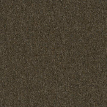 Pecan