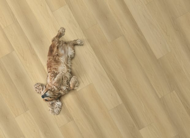Costello - Made in the USA | Legendary Floors | America's Floor Source