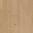 Collington in Champagne Oak