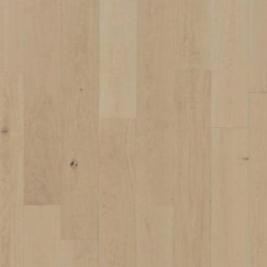 Karastan BelleLuxe Natural Collington