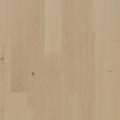 Karastan BelleLuxe Natural Collington