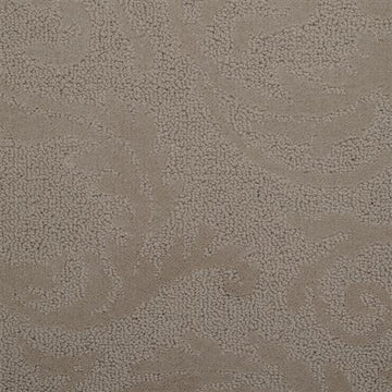Moon Shadows