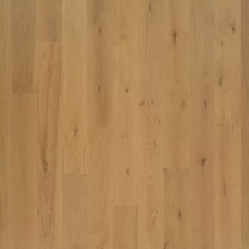 Default Title