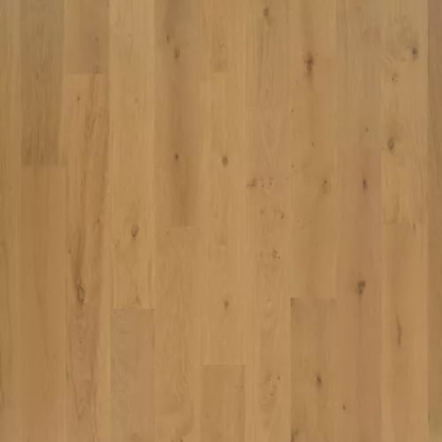 The Gault Estate in Norwich Honey Oak