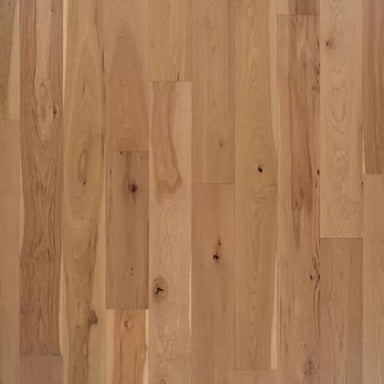 Karastan BelleLuxe Natural Cambridge Courts