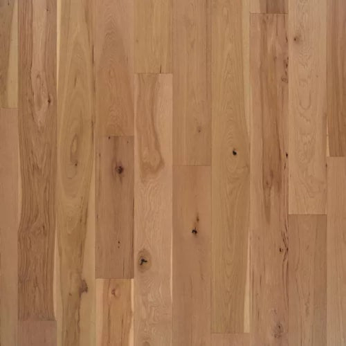 Karastan BelleLuxe Natural Cambridge Courts