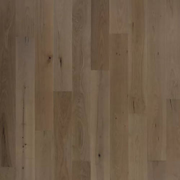 Default Title