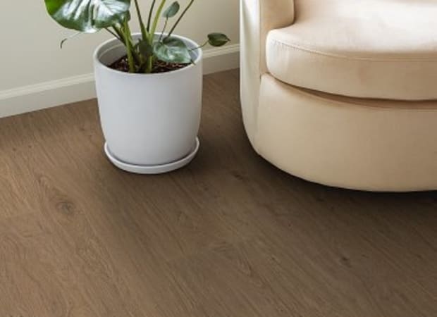 Warm Welcome in Field Stone Carpet