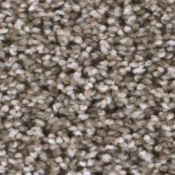 Soft Tan