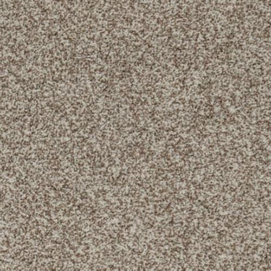 Apricity in Autumn Blaze Carpet