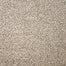 Natural Selection I in Almond Wash Carpet