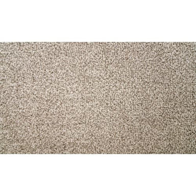 Natural Selection II in Almond Carpet