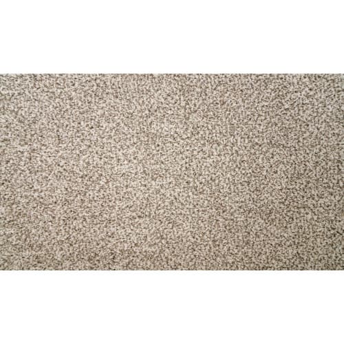 Natural Selection II